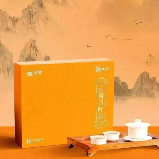 海堤 SEA DYKE海堤茶叶山河玉叶工夫红茶礼盒装CTA6621中小叶高香送礼 240g 48泡