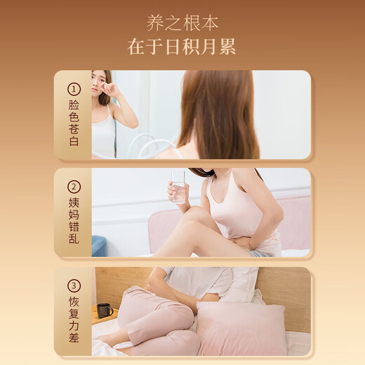 Fudonghai Film de gélatine à soute à l'âne 240g [Cadeau à mi-automne] Gélatin à soute à l'âne nourrit l'immunité et nourri