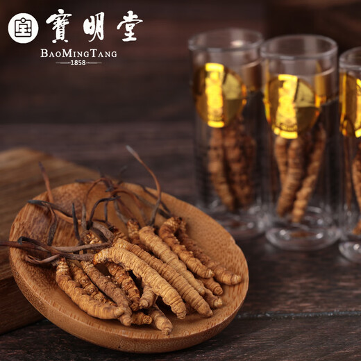 Baomingtang Cordyceps sinensis frisches Heu 1 Gramm volle Qualität ohne Gras ohne leeres Gras Geschenk Tonic für Selbstverwendung 1 g/Flasche