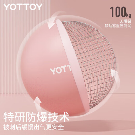 Yottoy Pilates kleiner Ball Schweizer Yoga Ball Mini 25 cm formen Bienen Taille und Butt Fitness Bodybuilding Sport Balance Ball Frauen