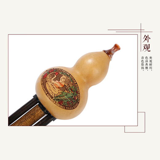 相思鸟葫芦丝乐器 三音可拼插C调紫竹梅花扣葫芦丝初学 XS2035