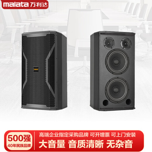 Malata audio set home KTV audio shop stage training room dance studio Bluetooth amplifier microphone speaker 12-inch five-unit audio pair + amplifier + microphone
