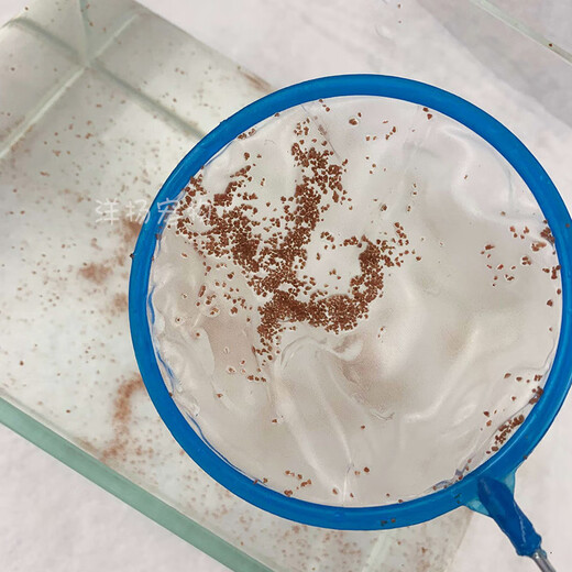 Zi Jiafu small fish net fishing net fishing net copy net fishing net aquarium fish tank goldfish small fishing net bag fishing small fish dense net small round coarse net