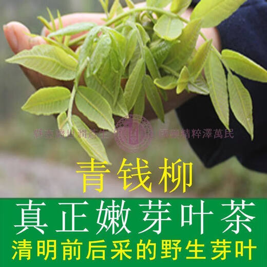 青钱柳批发修水金钱柳张家界青钱柳湖南城步茶 78克嫩叶春采一罐
