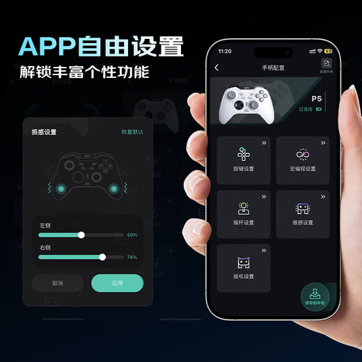 Lai Shida (PXN) P5PRO Chengying Wireless Game Controller PC Computer Steam Bluetooth Switch NS TV Mobile Phone Two-person Travel Zone Zero Black Myth Wukong DW12C Chengying-Yaoyue White/With Receiver