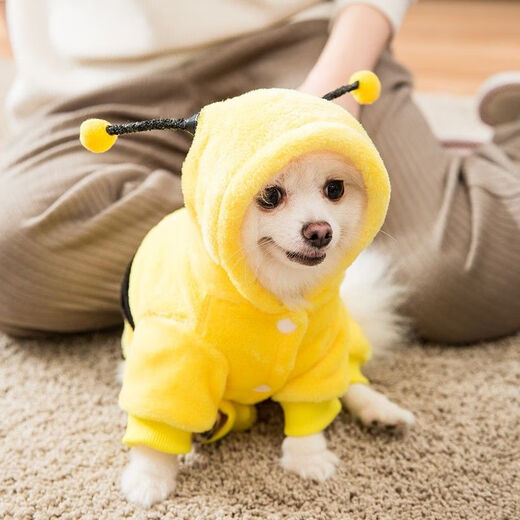 Huojing Welpe vierbeinige Kleidung im Herbst und Winter Haustier kleiner Hund Herbststil Haustierschuhe und Kleidung gelbe Biene L (Empfohlenes Gewicht 8-11 Jin [Jin ist gleich 0,5 kg])