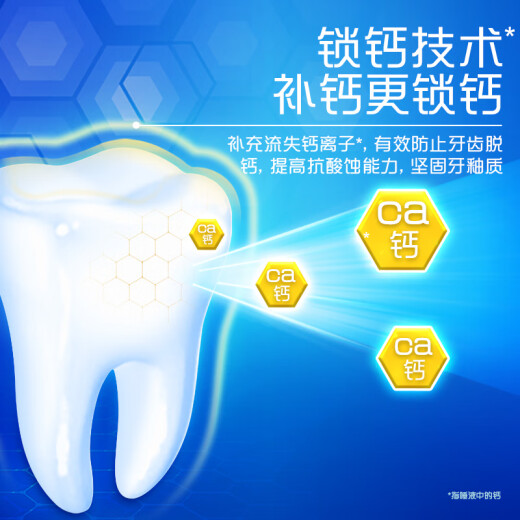 高露洁（Colgate） 全面防蛀清新薄荷味牙膏大容量250g 清新口气