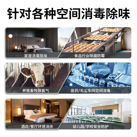 EVANLEY German ozone generator sterilizer household air purifier industrial food factory car sterilization and formaldehyde removal 40g/h (240 square meters)