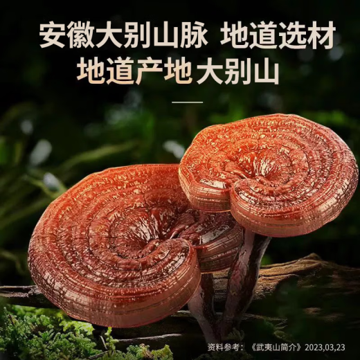 芝正元破壁灵芝孢子粉180袋季度装 3礼盒 送父母提高免疫力 滋补保健品