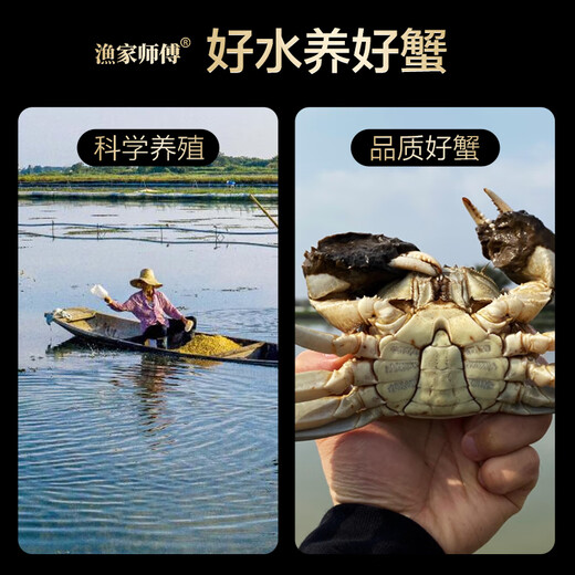 Live Crab Fisherman Master Hairy Crab Male 4.5-4.8 Female 3.5-3.8 Two 4 Pairs 8 Pieces Full Weight Fresh Crab Fresh Aquatic Gift Box