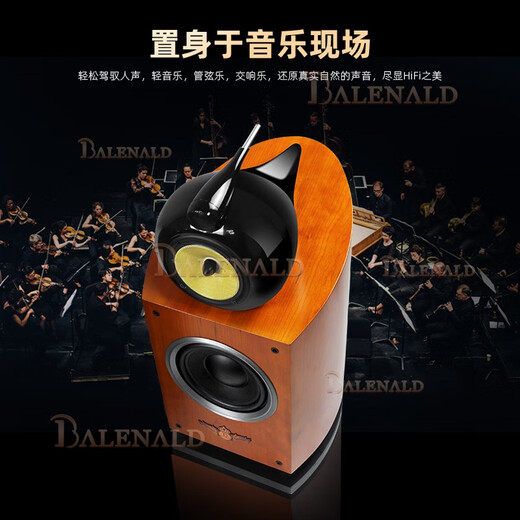 BALENALD NS8 NAUTILUS Fiebre alta fidelidad Basco de 8 pulgadas Nautilus Audio estantería de tres minutos Passive HIFI HIFI Altavoz coaxial de 12 pulgadas + 698 Amplificador