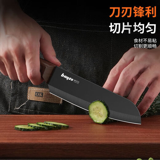 拜格（BAYCO）菜刀家用不锈钢阳江刀具切菜刀水果刀长款寿司西瓜切片刀 BD30089