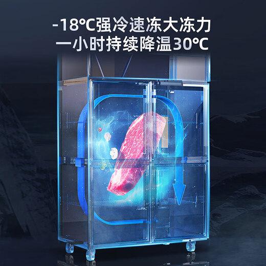 星星四门冰箱商用 立式冰柜 冷藏冷冻铜管双温大容量四六门饭店厨房学校食堂 -18度铜管1479升六门冷冻KD-1871G6