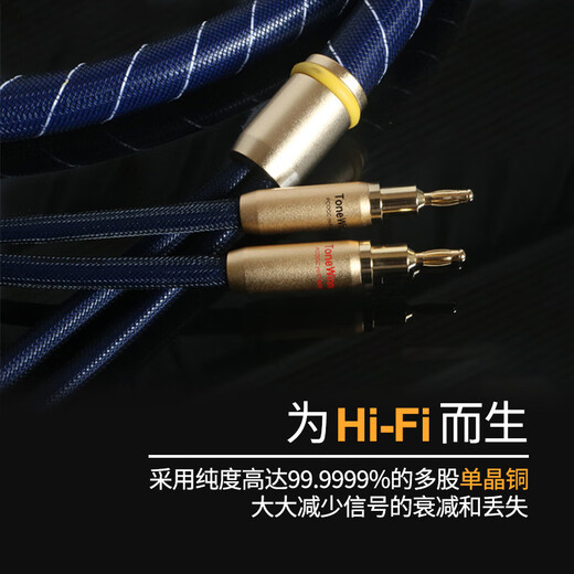Tianyi (Winner) SC-6 golden krait fever speaker cable hifi speaker cable banana head audio cable 2.5 meters 2.5m
