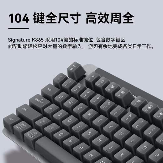 罗技K865机械键盘 无线蓝牙键盘 104键全尺寸键盘电竞游戏键盘 石墨黑 TTC红轴 石墨黑 TTC红轴( K845升级款 )