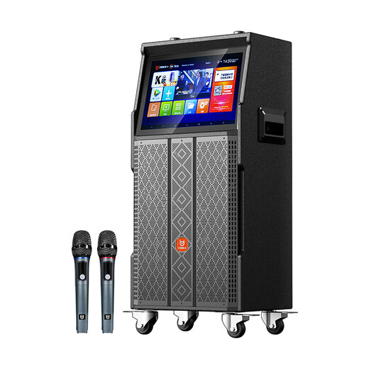 贝德音响视唱BD-H1501新款户外广场舞音响带显示屏卡ok一体机室内家用视频机K歌大屏触摸屏幕点歌机 BD-H1503/10吋低音/美声话筒