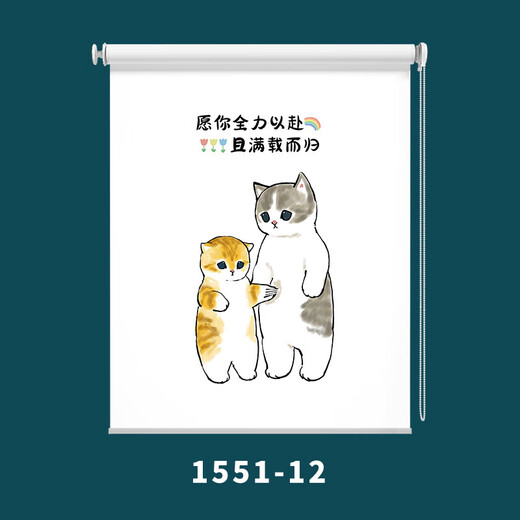 卫生间窗帘厨房浴室厕所卫生间窗帘画卷帘遮阳帘拉卷式免打孔防 1517-8