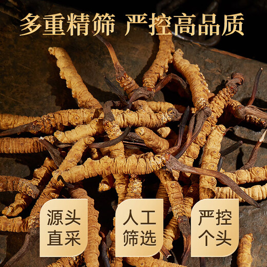 
Lei Yunshang [Official] [Naru Qu, Tibet] Cordyceps gift box for gifts for elders health gift box exquisite gift box - Grade A 4 sticks/g 10g about 40 sticks