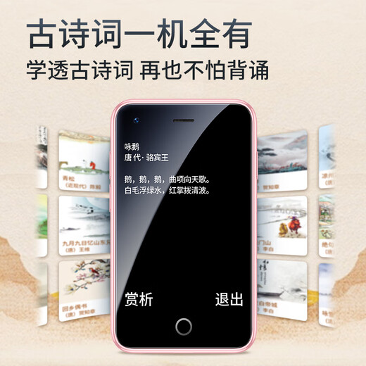 DUOWEI (DOOV) Q99 MINI Student Phone Mobile Phone 4G Network Full Network Network GPS Positionnement de paiement Video Call