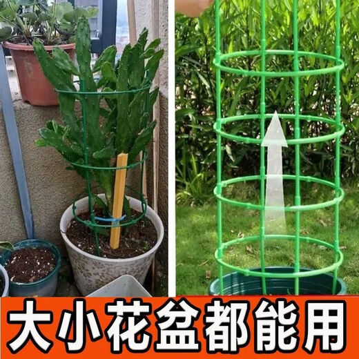 Blumenhalterung Stützstange Pflanze Klammer universelle Blumenhalterung Spleißgarten Orchid Lotus Blumenregal Kletterrahmen Feste Blumenregal Stapelbar | Verdickte [12 Schichten] 72 Wurzeln