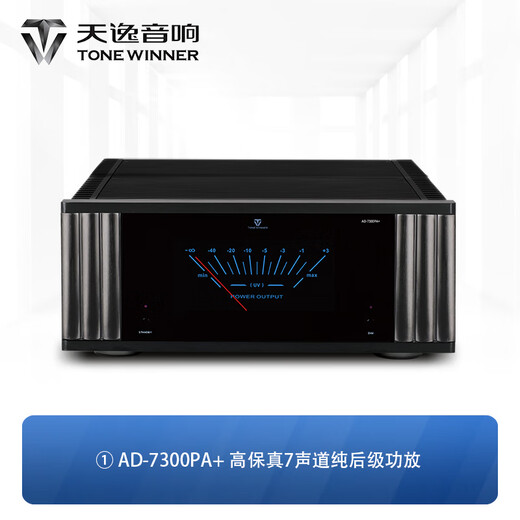 天逸（Winner）AD-7300PA+ 纯后级7声道独立输出大功率家庭影院功放 AD-7300PA+