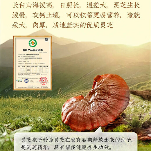 北京同仁堂 灵芝孢子粉 孢子粉 破壁灵芝孢子粉 林芝袍子粉 父母 2盒