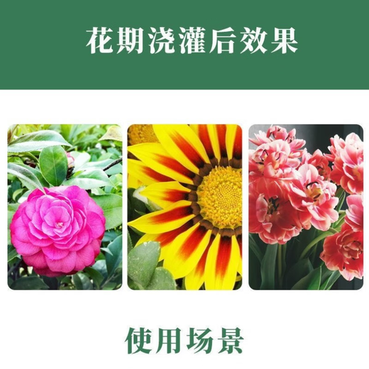 Potassium dihydrogen phosphate flower fertilizer foliar fertilizer for household flowering plants general-purpose phosphorus-potassium fertilizer flower-promoting water-soluble compound fertilizer potassium dihydrogen phosphate bag 2500g * 1 bag