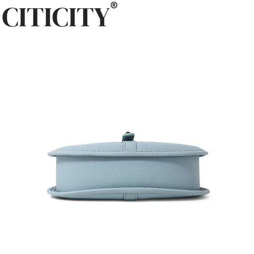 CITICITY包包女包轻奢侈品牌高档单肩腋下包2025新款牛皮通勤马鞍包礼物女 大象灰