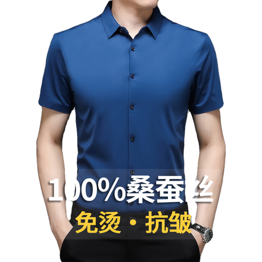 2025新款短袖衬衫男夏季桑蚕丝高端纯色半袖商务休闲男士免烫衬衣 黑色 2XL 180(建议160斤-175斤)