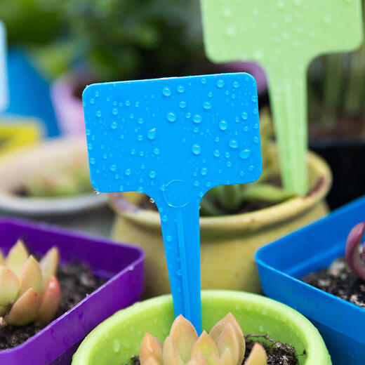 Zuojia Garden thickened plant label gardening label T-shaped flower label identification card succulent waterproof label ground card third generation thickened mixed color 50 sheets