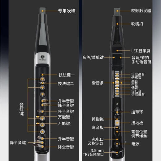 雅思乐【官方】P60电吹管新款国产乐器中老年初学专业萨克斯笛子葫芦丝 新款P60标配 【现货】
