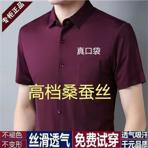 Pierre Cardin 100 Mulberry Silk sin escalas y camisa elástica de manga corta de verano para hombres de la solapa de manga corta versátiles de la solapa informal