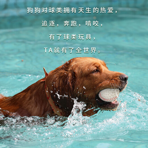 EETOYS Small Latex Tennis Dog Toy Fun Sounding Teething Resistant Bite Cleaning Ball Pet Supplies