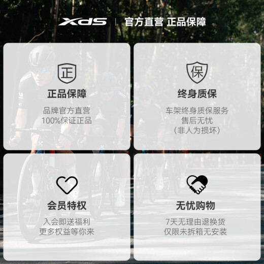 喜德盛【门店提车】公路自行车AD500电子变速油碟刹桶轴24速碳纤维前叉 鸽子灰/黑 480mm