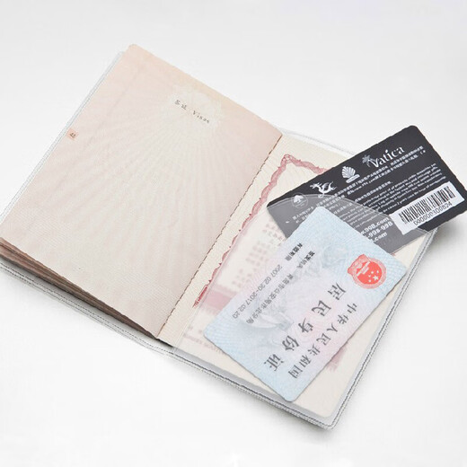 Huaiguoying mattes Passschutzschutzabdeckung wasserdichte Passbeutel transparente Passabdeckung Passclip -ID Set Reiseversorgungen matt 18,5*13,5 cm