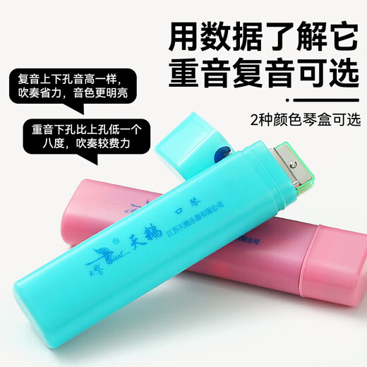 天鹅口琴c调24孔初学者学生入门儿童复音成人专业重音C调口风琴乐器 24孔【专业演奏】黑色复音+赠品