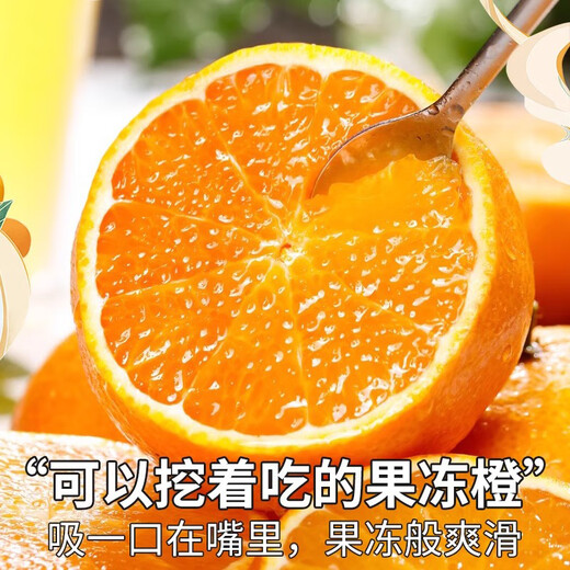 桦萱四川爱媛38号果冻橙【发出多地隔日达】眉山甜柑橘子水果礼盒 5斤A+级大果【60-70mm】净4.5斤