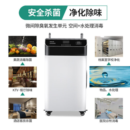 Feili ozone generator water treatment household space sterilization, formaldehyde deodorization/odor cold storage water disinfection machine 820SY 250 (water treatment dual-purpose with hose)