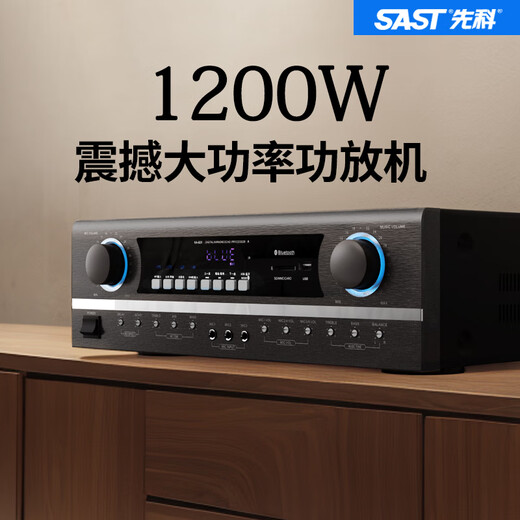 先科家庭ktv音响套装点歌机卡拉ok点唱一体机全套会议室家用家庭影院K歌全套电视客厅专业唱歌组合音箱 10寸10单元音响+功放
