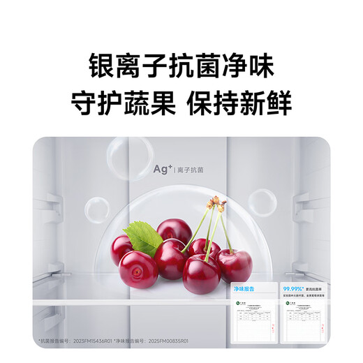 米家小米冰箱新品271L三门小型家用电冰箱风冷无霜双变频中门宽幅变温抗菌净味一级能效【国家补贴】