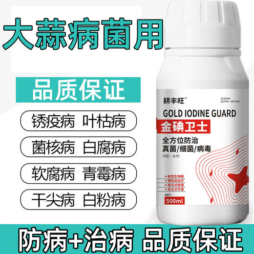 Gengfengwang garlic special agent garlic medicine garlic special medicine dry tip yellow leaf rot treatment plus 20 ml (1 mu of land)