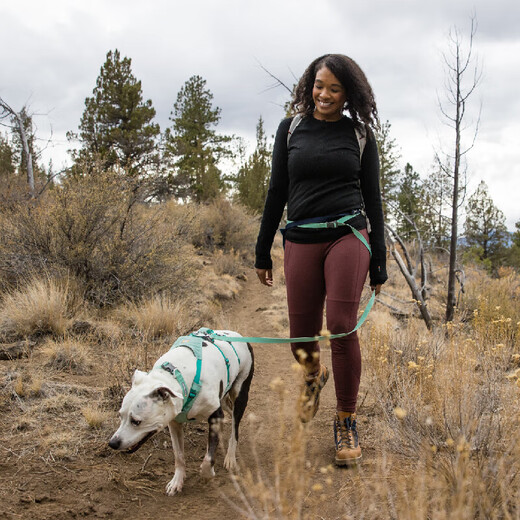 Ruff Wilvergland dog leash large dog ruffwear golden retriever Shiba Inu Teddy pet dog leash dog chain p chain sage green/fog forest green
