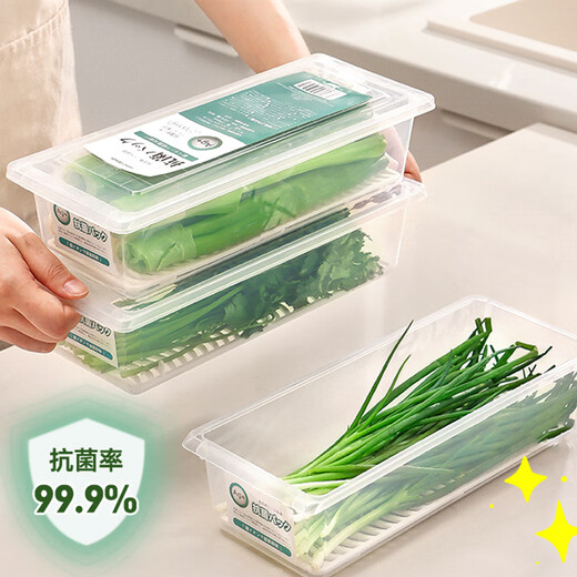 Home KATEI STORY Japanese antibacterial onion crisper drain food grade long coriander green onion ginger garlic refrigerator storage box onion segment box