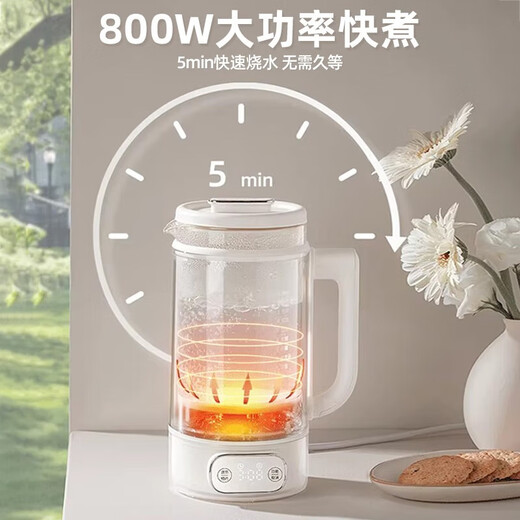 DAEWOO Luoshen health pot double-layer anti-scalding mini constant temperature health pot 316 stainless steel chassis YS10F purple standard