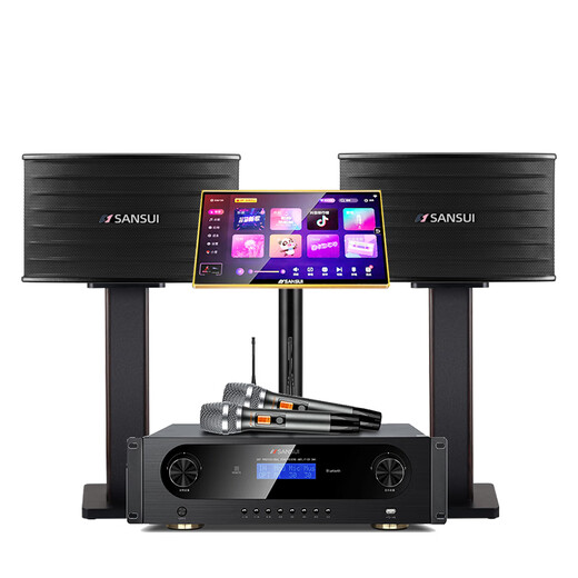 山水（SANSUI）PK09专业ktv音响K歌 会议 大功率家用家庭电视卡拉OK套装 家庭环绕影院电视重低音炮K歌音响 山水PK09+功放+美声话筒+2T点歌机