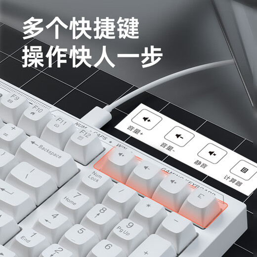 惠普K300真机械手感键盘黑色 轻音高颜值 98客制化配列 插拔有线游戏专用吃鸡笔记本电脑电竞lol