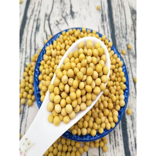 Hongyun Natto Special Sojabohnen Sehr kleine 690 kleine Sojabohnen Bauern eigene Tähne Speziales Goldene Bohnen Special für Natto 690 Small Golden Sojabohnen Net Gewicht One Jin [Jin entspricht 0,5 kg]