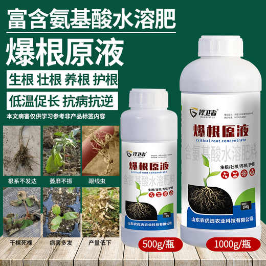 Explosive root liquid, special seedling strengthening agent for strong rooting, root nourishing and mulching, regulating soil activator, water-soluble fertilizer 1000g*2 bottles