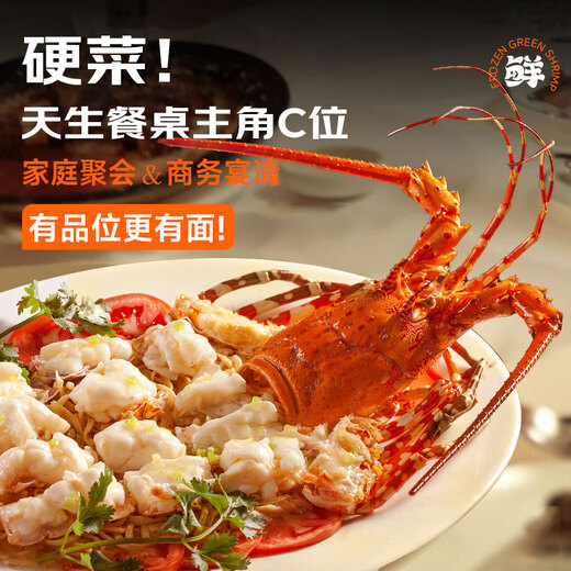 Mr. Fish Seller Indonesian live frozen blue lobster 200-300g/piece Extra large lobster Hualong seafood water produces fresh shrimp