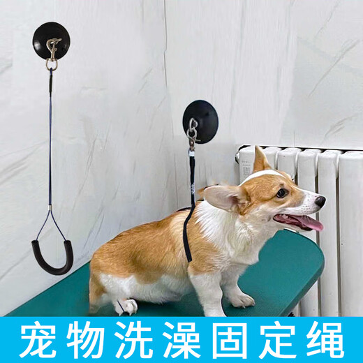 Suican pet grooming sling, lanyard, suction cup, grooming table, wire sling, dog shaving and bathing, fixed, anti-falling rope, suction cup wire model, recommended 30 Jin Jin equal to 0.5 kg, 1 beauty sling